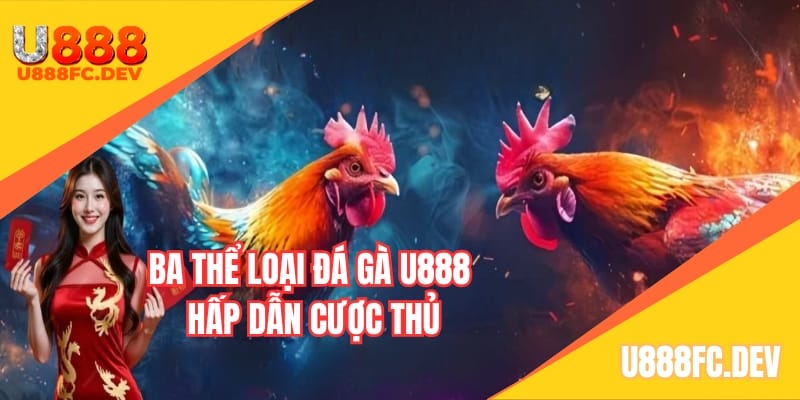 Ba thể loại đá gà U888 hấp dẫn cược thủ