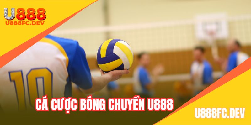 Hòa mình vào trận đấu bóng chuyền sôi động