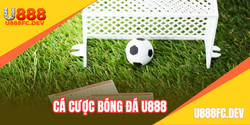 Trải nghiệm đặt cược bóng đá kịch tính, uy tín