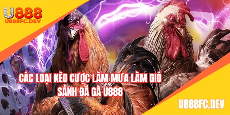 Các loại kèo cược làm mưa làm gió sảnh đá gà U888