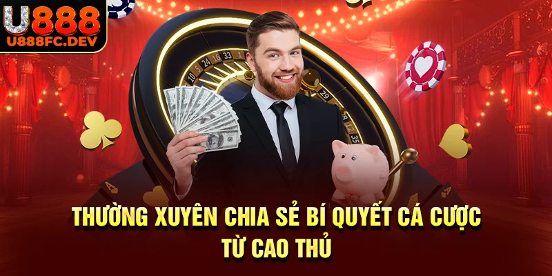 Chia sẻ kinh nghiệm cược đỉnh từ bậc thầy